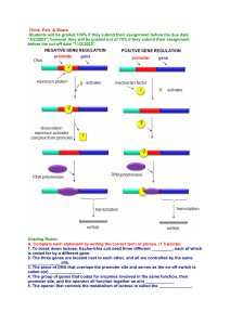 Gene regulation worksheet