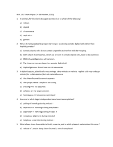 Tutorial Quiz Meiosis