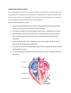 CONDUCTING SYSTEM OF HEART