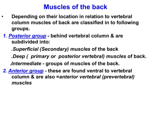 9-Muscles of the back