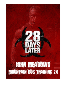 John Meadows 28 Days Later