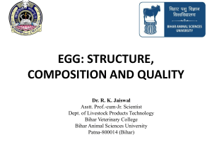 Egg-structurecomposition-quality