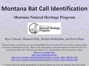 Montana Bat Call Identification