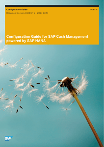 Configuration Guide for SAP Cash Management powered by SAP HANA