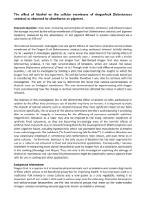 Biology Internal Assesment (1)