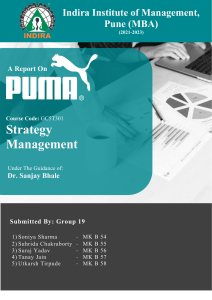 Puma Strategy Management