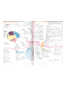Edexcel GCSE (9-1) Psychology  The brain and neuropsychology Mind Map