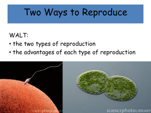 2 ways to reproduce