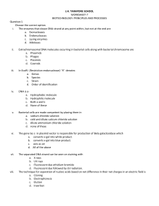 std-12 8-worksheet-Biotechnology-Principles-and-Processes