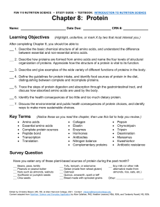 Nutrition Science Study Guide: Chapter 8 Protein