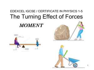 The Turning Effect of Forces