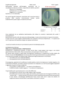 2021.11.03 Microbiologia-Lupetti- Antibiogramma (trascinato)