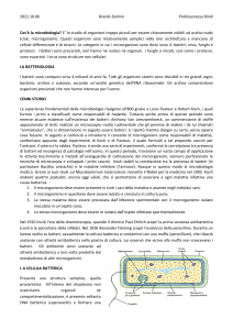 2021.10.06-microbiologia-prof.Rindi-introduzione-batteri