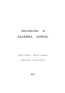 Libro Algebra 2013