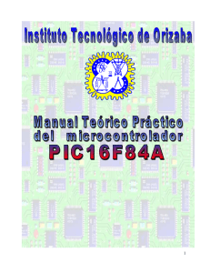 19417100 Manual Pic16f84a pdf