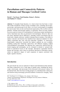 Parcellations and Connectivity Patterns in Human a