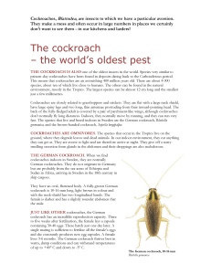 Cockroaches: The World's Oldest Pest (ENG)