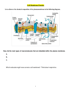 plasma membrane worksheet 