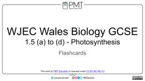 Flashcards - 1.5 Photosynthesis - WJEC Wales Biology GCSE