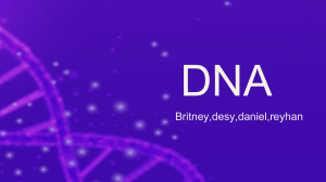 DNA( BRITNEY, DESY, DANIEL, REYHAN)