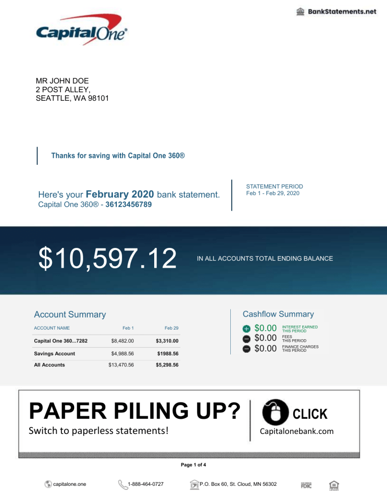 Capital One Bank Statement BankStatements