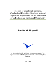 Soil of Abandoned Farmland, Cumberland Plain Woodland and restored vegetation