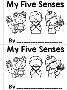 5 Senses Minibook