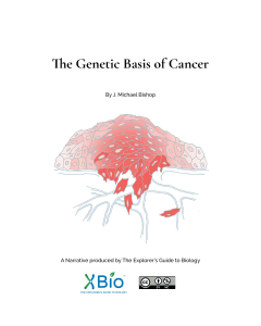 The  Genetic  Basis  Of  Cancer