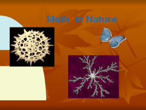 Copy of MATH IN NATURE Week 1