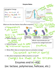 Enzymes Guided Notes