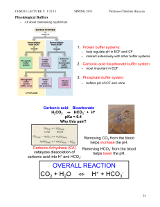 Body Buffer Systems