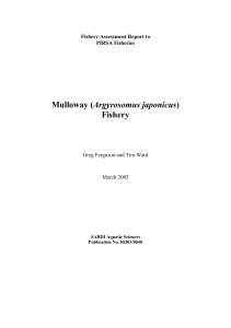 Mulloway Argyrosomus japonicus fishery