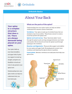 about-your-back