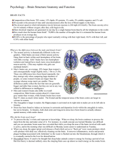 Brain Structure Psychology