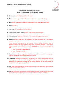 Lesson2.2A-Activity Activity 1 Glossary of Cardiovascular Disease Answer Key[2276]