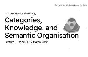 Categories, Knowledge, and Semantic Organisation