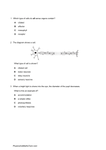 Coordination & Response (Multiple Choice Questions)