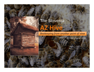 AZ Hive - Mark Chorba