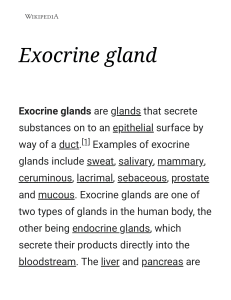 Exocrine gland - Wikipedia