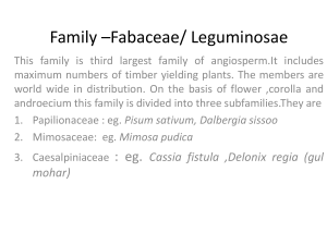 Family-papilionaceae