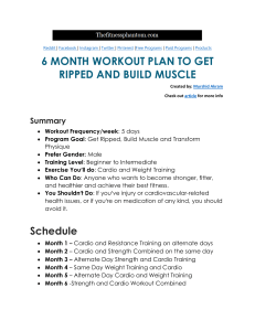 6-month-workout-plan-to-get-ripped-pdf