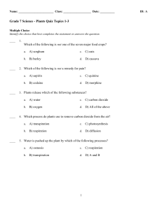 Grade 7 Science Plants Quiz Topics 1-3