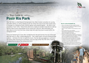Pasir Ris Park guide