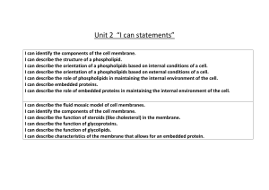 AP Biology Unit 2 (Cell Structure and Function) I can statements