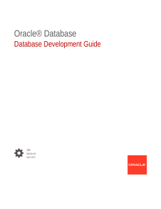 database-development-guide