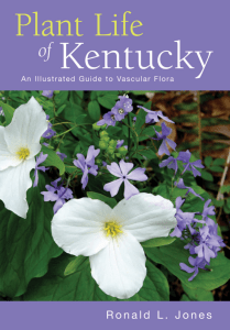 Plant Life of Kentucky, An Illustrated Guide to the Vascular Flora {Ronald L. Jones} [9780813123318] (The University Press of Kentucky - 2005) 0