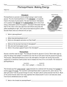 Photosynthesis- Cellular Respiration Worksheet