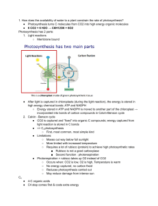 Ecology & Photosynthesis Lecture Notes