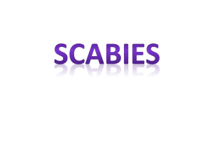 №4scabies