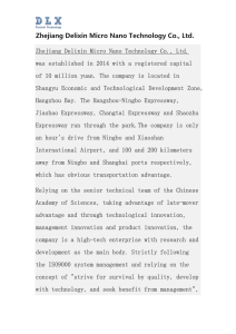 Zhejiang Delixin Micro Nano Technology Co., Ltd.